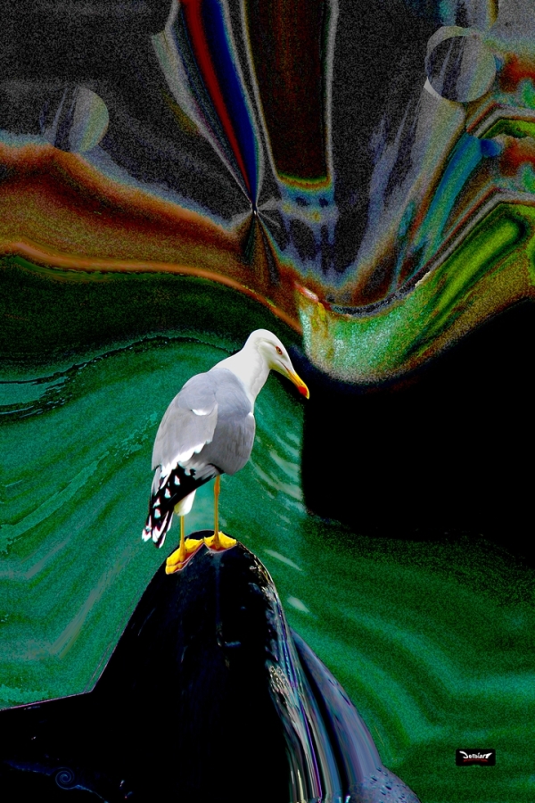 Diapositive 44++Charme_et_Tempete.jpeg 