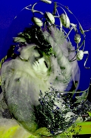 Vignette 18++Deambulations.jpeg 