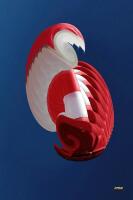 Vignette 14++Manche_a_vent.jpeg 