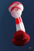 Vignette 16++Manche_a_vent.jpeg 