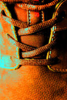 Vignette 03++Terracotta.jpeg 