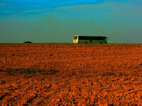 Vignette 05++Terracotta.jpeg 